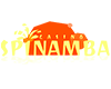 Spinamba logo