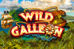 Wild Galleon logo