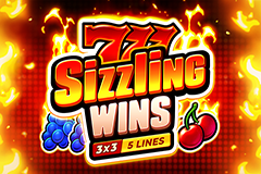 777 Sizzling Wins logo