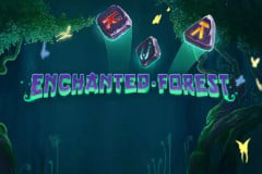 Enchanted Forest logo