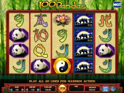 Featuring a five reel by four position main game board and 100 paylines.