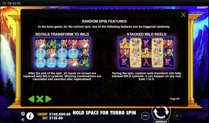 Random Spin Features