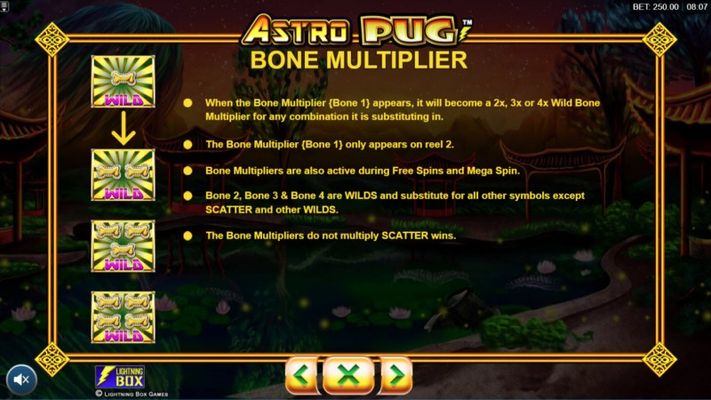 Bone Multiplier