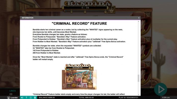 Criminal Record Feature