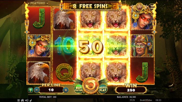 special expanding symbol leads to a big win during the free spins feature