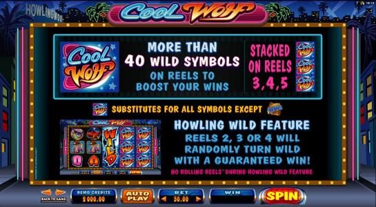 More than 40 wild symbols on the reels to boost your wins