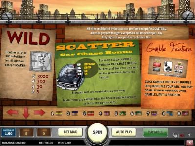 how to play wild, scatter and gamble feature along with paytable