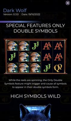 Double Symbols
