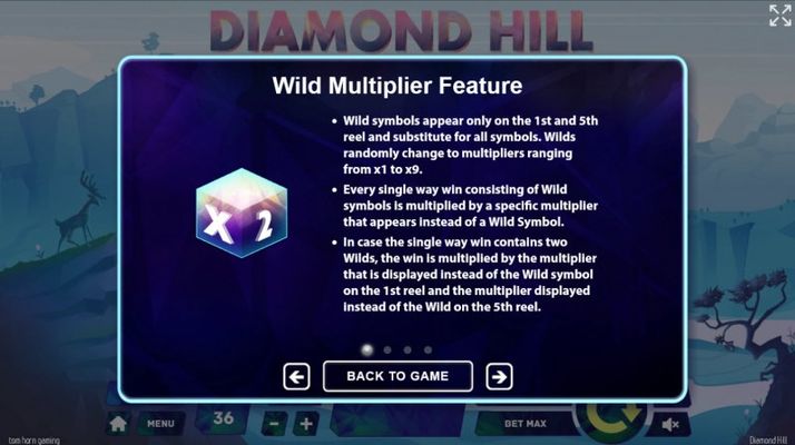 Wild Multiplier Feature