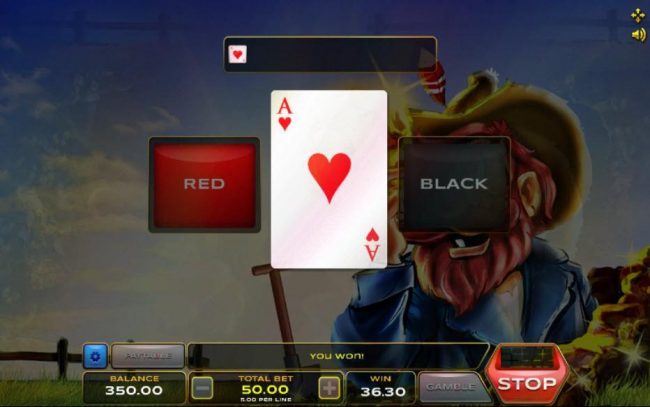 Gamble feature is available after any winning spin. Select the correct color of the next card for a chance to increase your winnings.