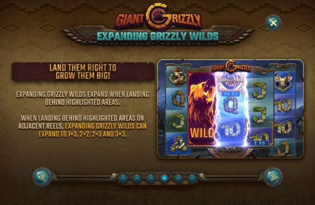 Expanding Grizzly Wilds