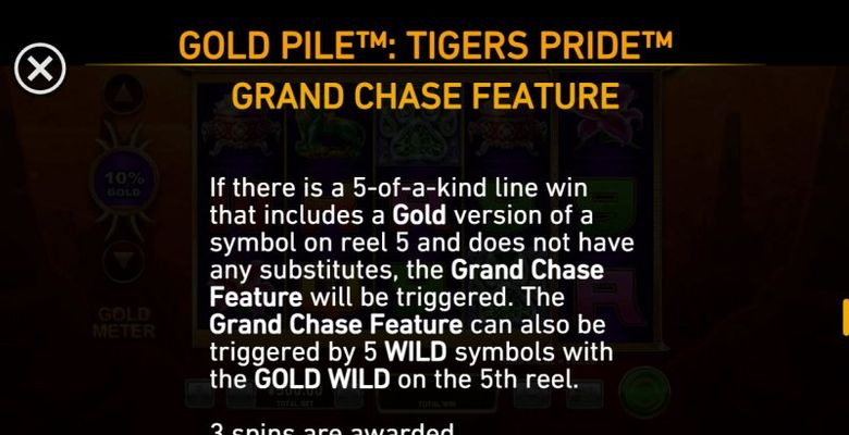 Grand Chase Feature