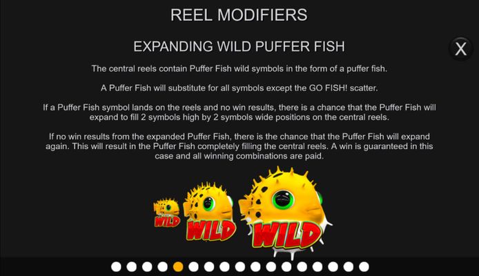 Expanding Wild Puffer Fish