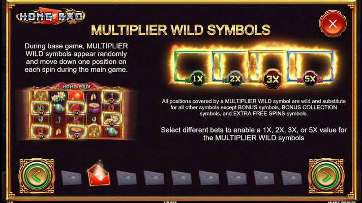 Multiplier Wild Symbols