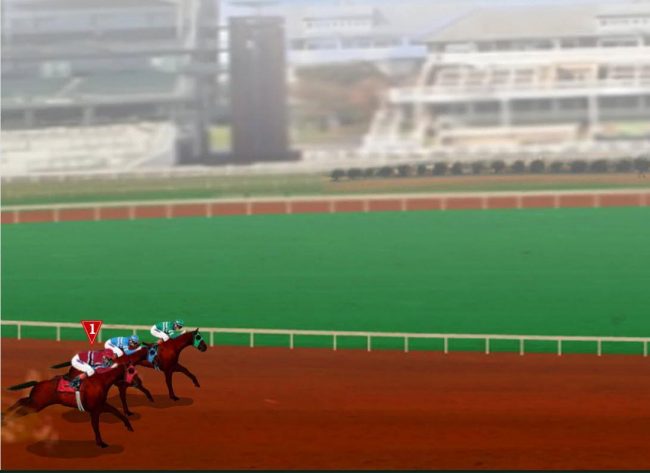 Follow the horse you selected as they race down the track.