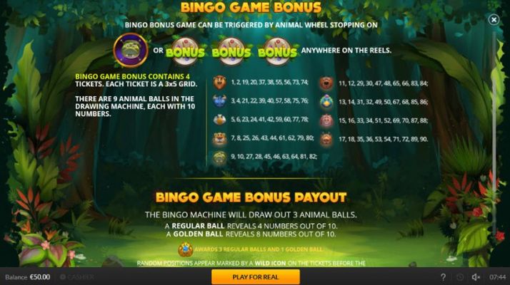 Bingo Game Bonus Feature