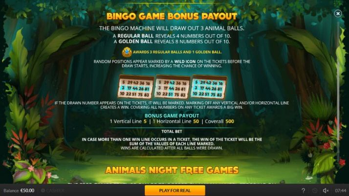 Bingo Game Payout