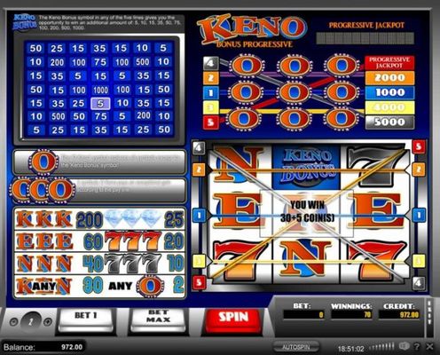 Evry time the Keno Bonus symbol appears in comjunction with a winning payline. The keno Bonus is activated, randomly selecting a win multiplier.