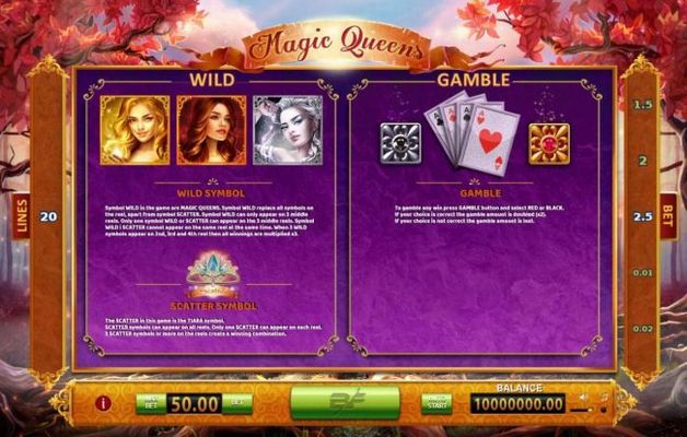 Wild Symbol, Scatter Symbol and Gamble Feature Rules