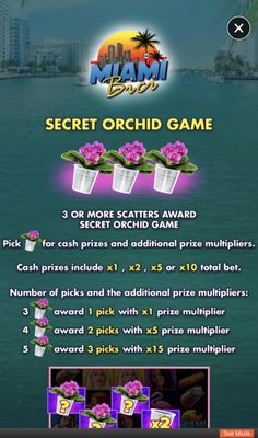 Secret Orchid Game