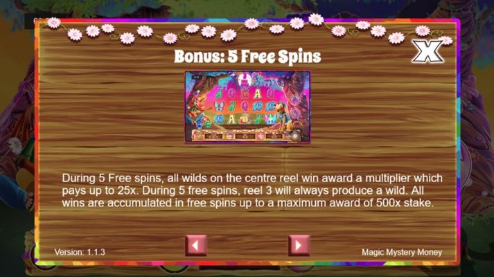 Bonus and Free Spins
