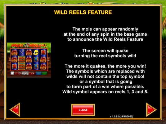 Wild Reels Feature