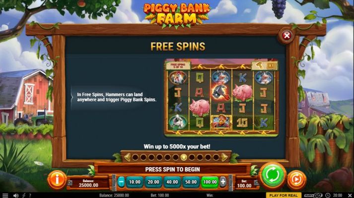 Free Spin Feature Rules