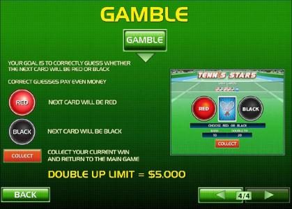 Gamble feature rules and how to play