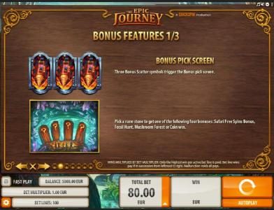 Bonus Pick Screen - Pick a rune stone to get one the following four bonuses: Safari Free Spins, Fossil Hunt, Mushroom Forest or Coin Win.