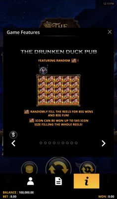The Drunken Duck Pub