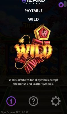 Wild Symbol