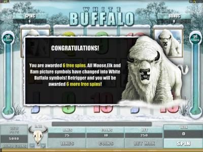 you are awarded 6 free spins. all moose, elk and ram picture symbols have changed into white buffalo symbols