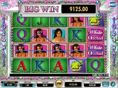 here we have a 9125 coin big win jackpot
