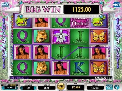 here is another 1125 coin big jackpot