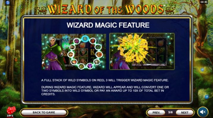 Wizard Magic Feature