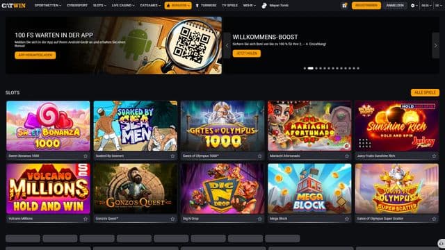 Catwinhome screen