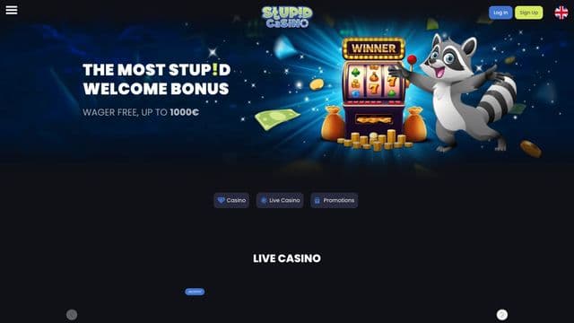 Stupid casino Homepage Image