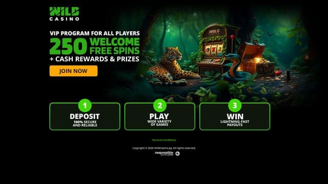 Wild Casino Homepage Image