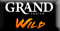 Grand Wild Casino Bonus