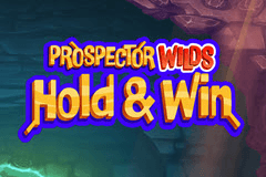 Prospector Wilds Hold & Win logo