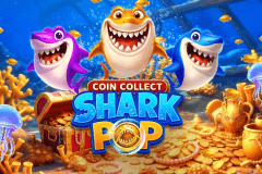 Shark Pop: Coin Collect logo
