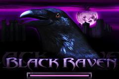 Black Raven logo