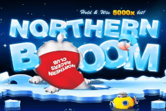 Northern Boom logo