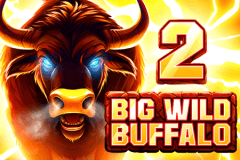 Big Wild Buffalo 2 logo