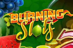 Burning Slots logo