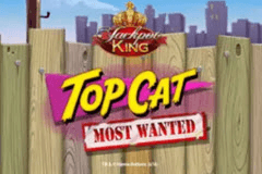 Top Cat Most Wanted logo