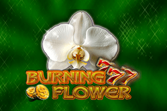 Burning Flower logo