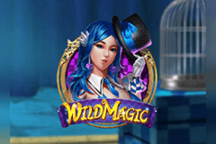 Wild Magic logo