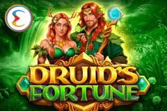 Druid's Fortune logo