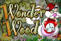 Wonder Wood logo